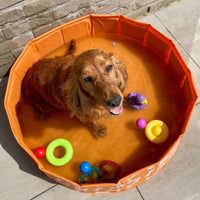 swim-essentials-dog-pool-orange-bones-wholesale-5