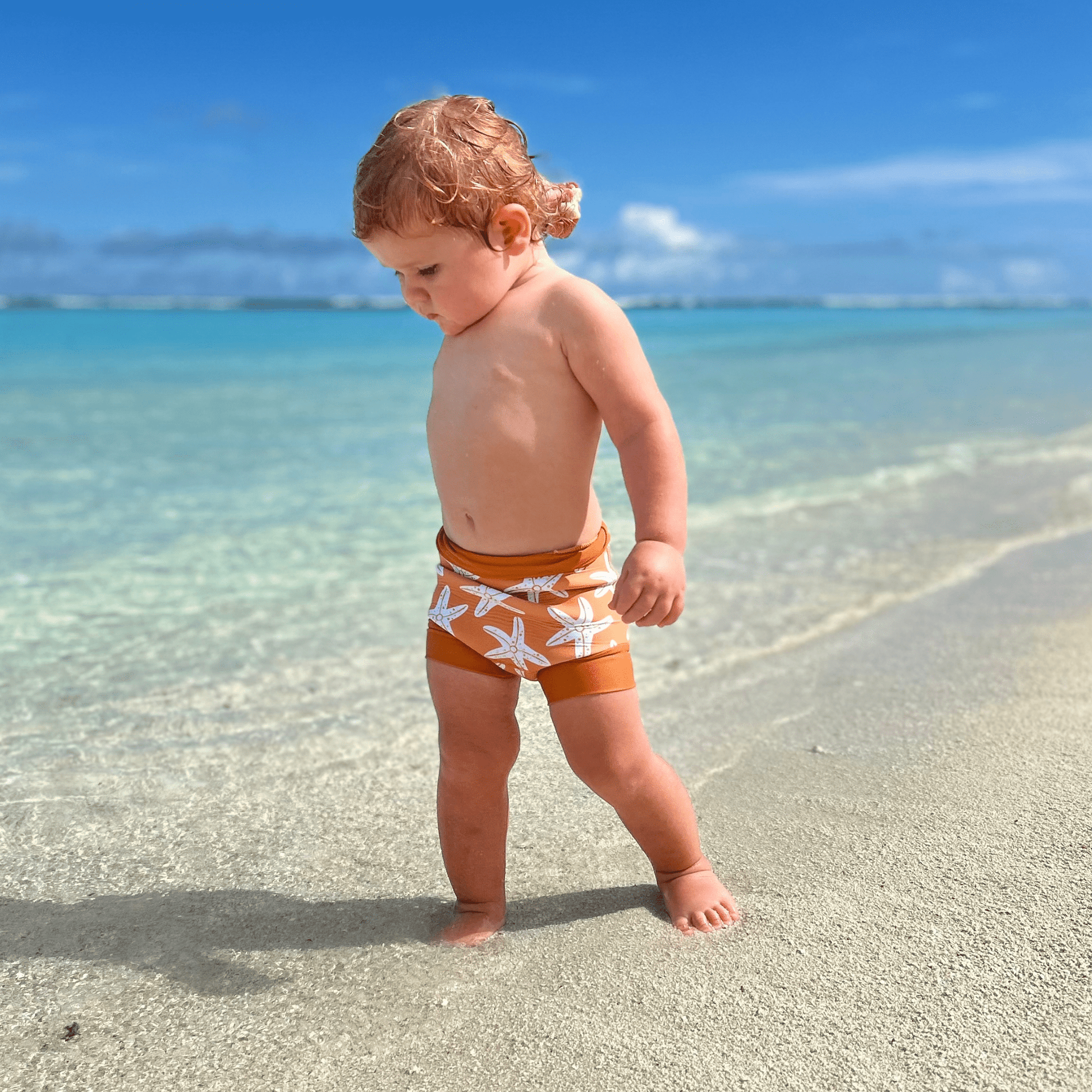 swim-essentials-brown-seastar-swim-diaper-wholesale-3