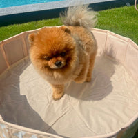 swim-essentials-dog-pool-beige-bones-wholesale-6