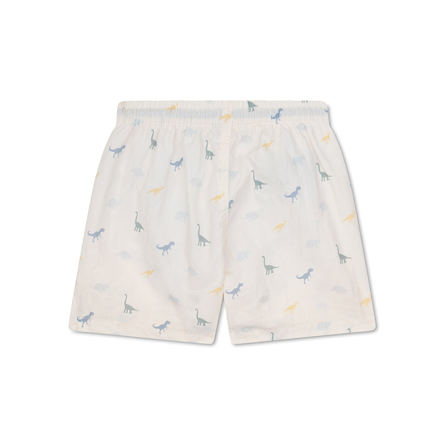 Swim Essentials wholesale | SwimShorts