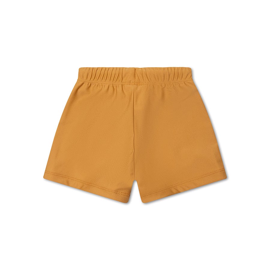 swim-essentials-brown--swim-short-wholesale-2