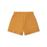 swim-essentials-brown--swim-short-wholesale-2