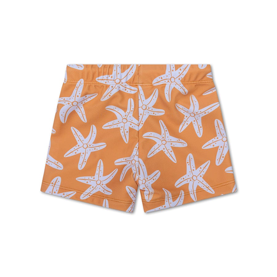 swim-essentials-seastar-swim-boxer-wholesale-2
