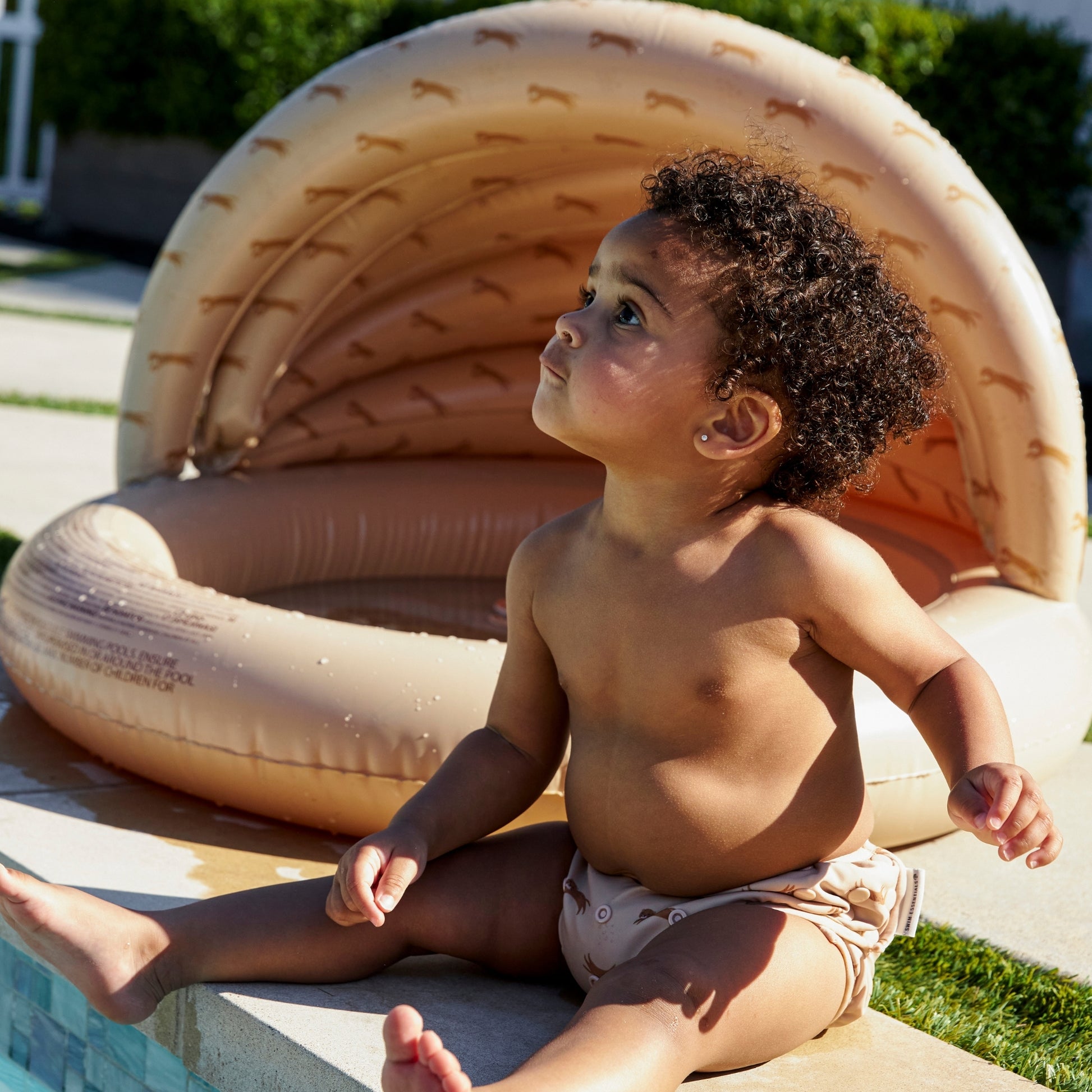 Swim Essentials wholesale | Pool with Canopy