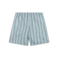 swim-essentials-green-white-striped-swim-short-wholesale-3