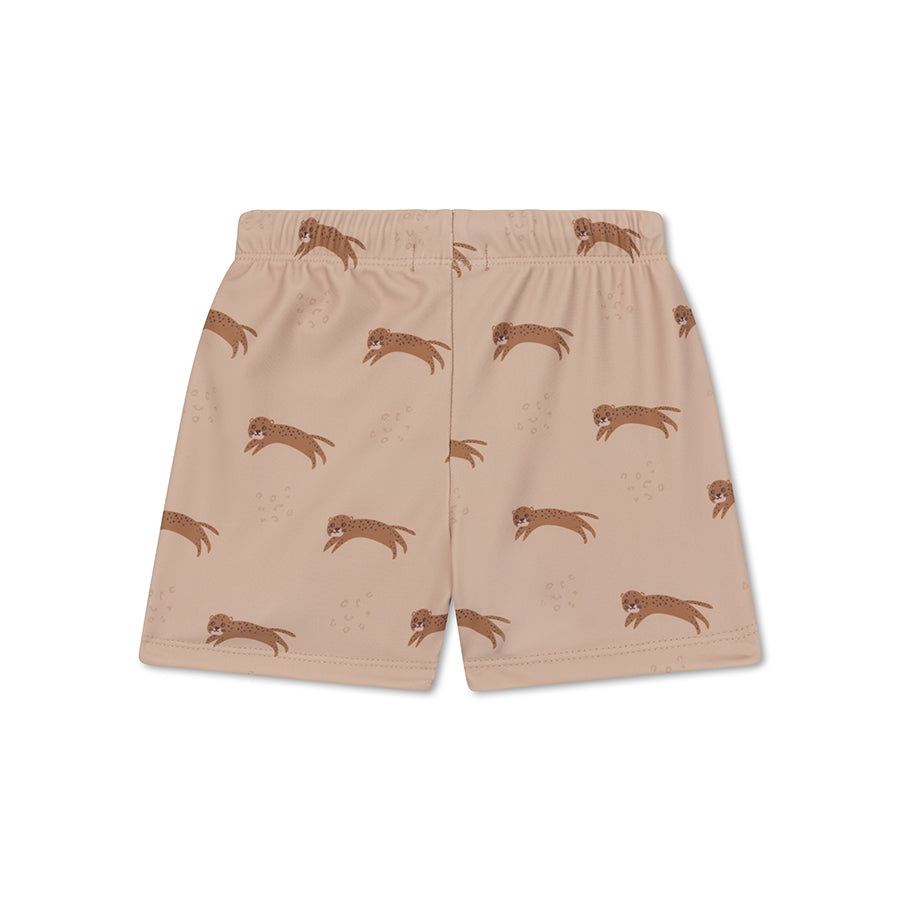 Roamer | Brown UV Swim Boxer for Boys