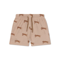 Roamer | Brown UV Swim Boxer for Boys