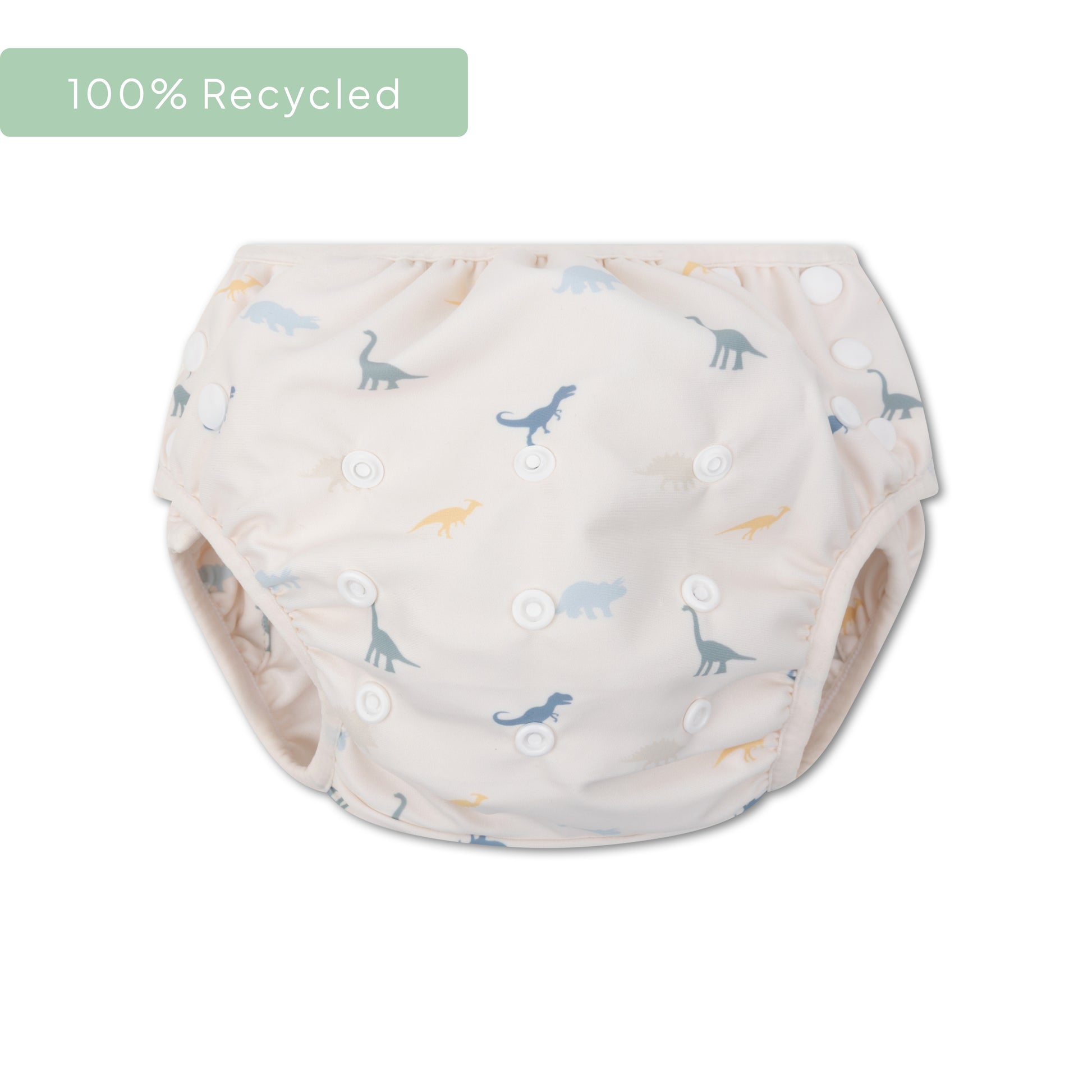 Dino | Multicoloured Washable Swim Diaper