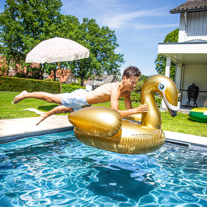 Online wholesale Inflatable Swan Gold